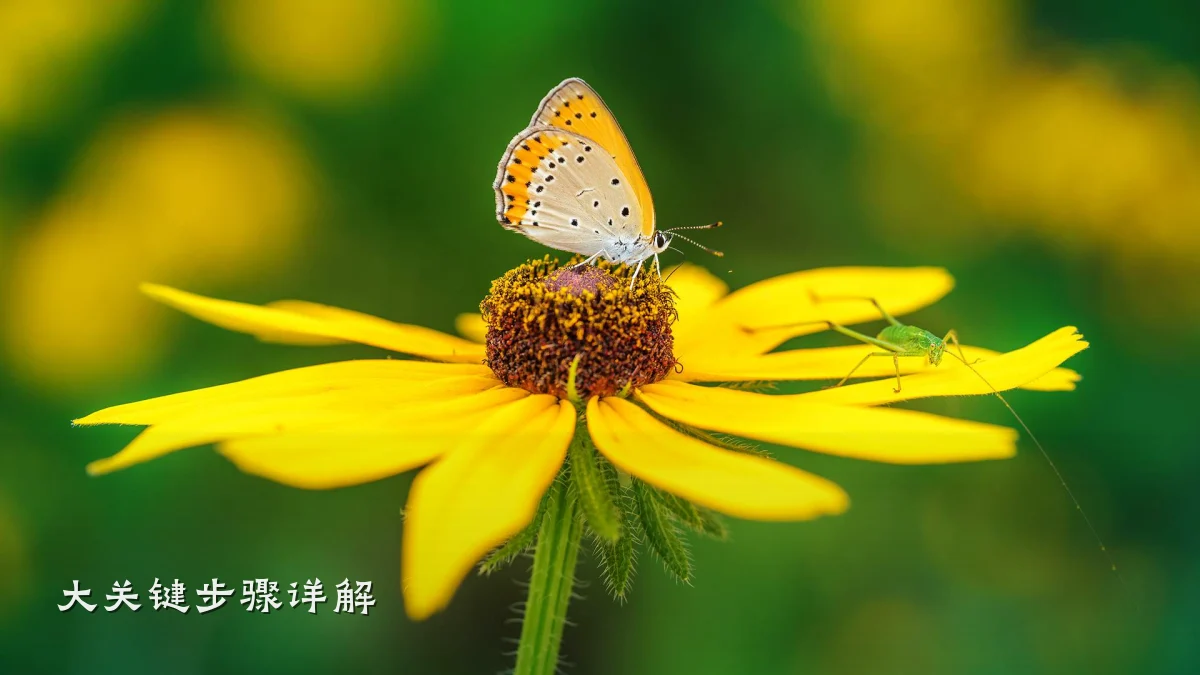 大关键步骤详解