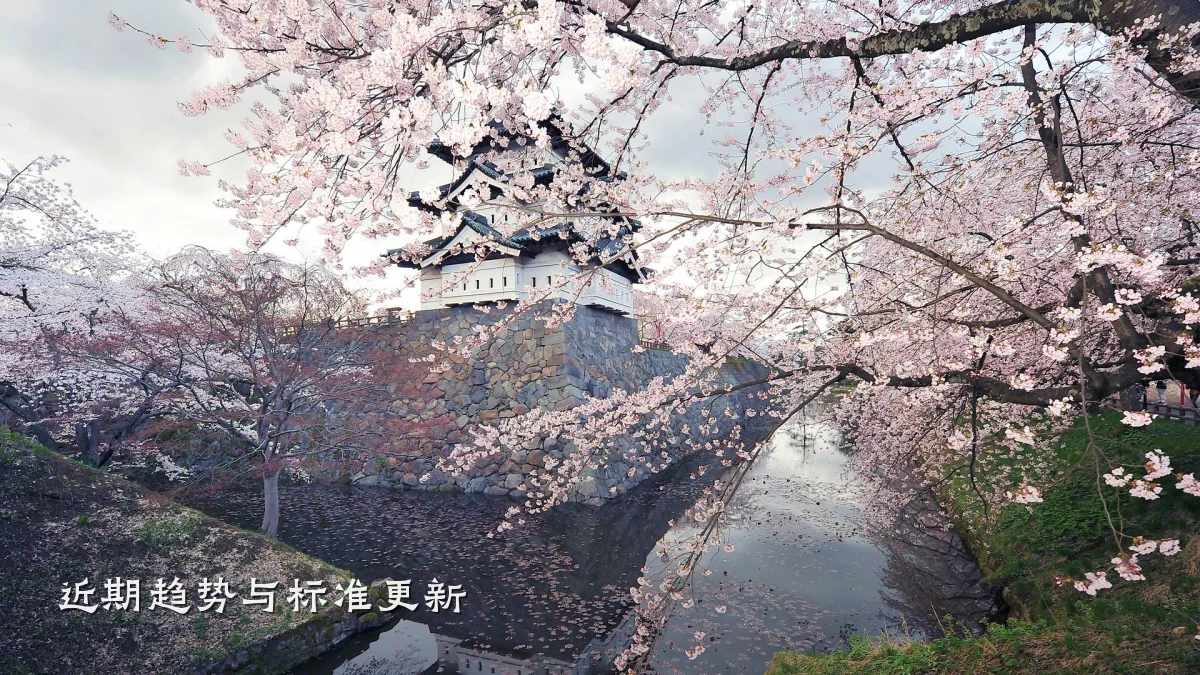 近期趋势与标准更新