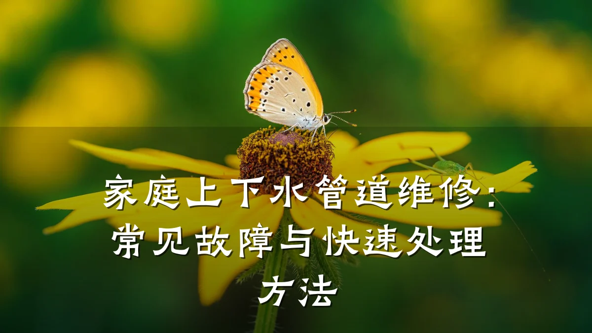 家庭上下水管道维修:常见故障与快速处理方法