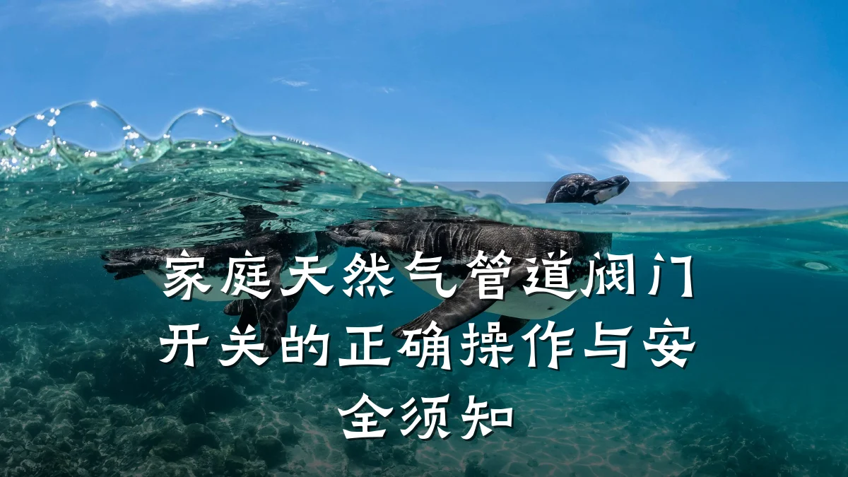 家庭天然气管道阀门开关的正确操作与安全须知
