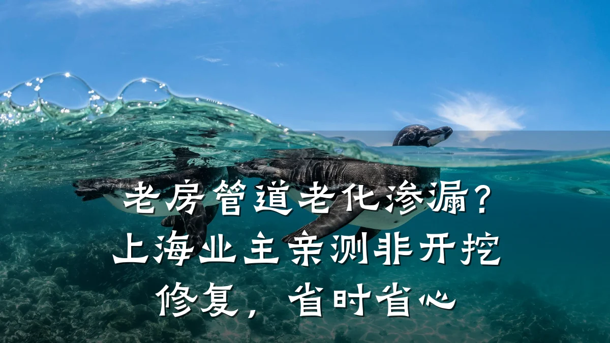 老房管道老化渗漏?上海业主亲测非开挖修复,省时省心