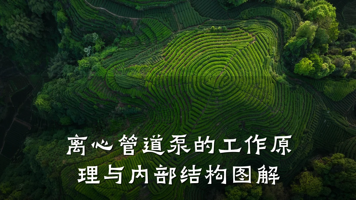 离心管道泵的工作原理与内部结构图解