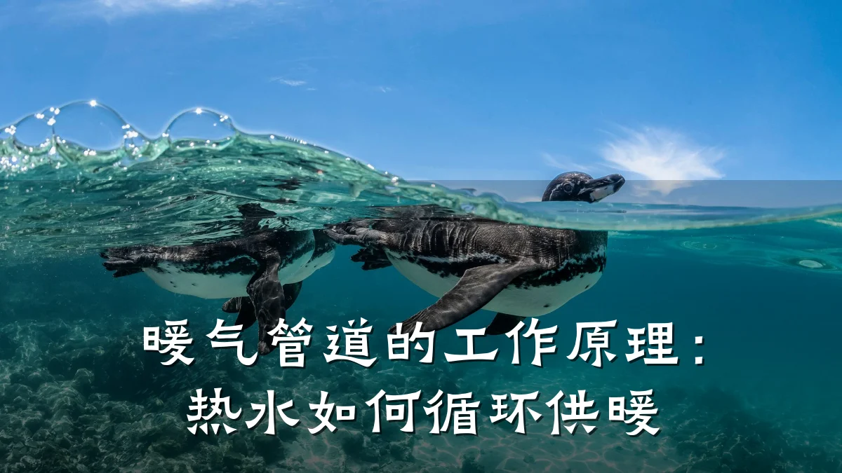 暖气管道的工作原理:热水如何循环供暖