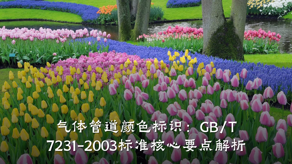 气体管道颜色标识:GB/T 7231-2003标准核心要点解析