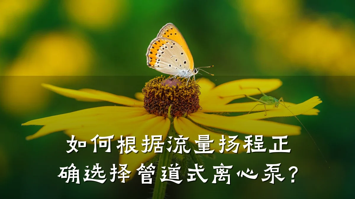 如何根据流量扬程正确选择管道式离心泵?