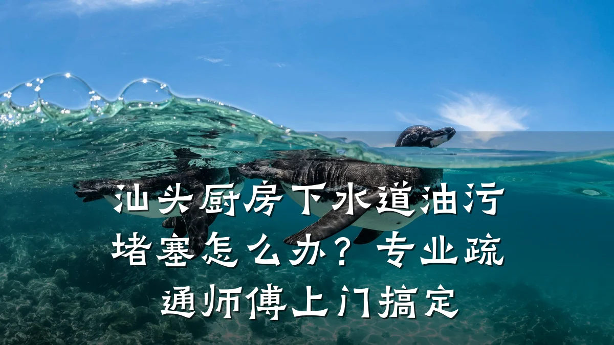 汕头厨房下水道油污堵塞怎么办?专业疏通师傅上门搞定