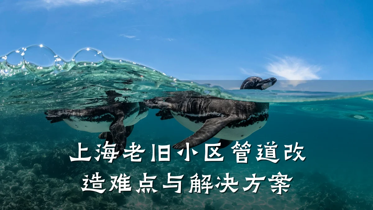 上海老旧小区管道改造难点与解决方案