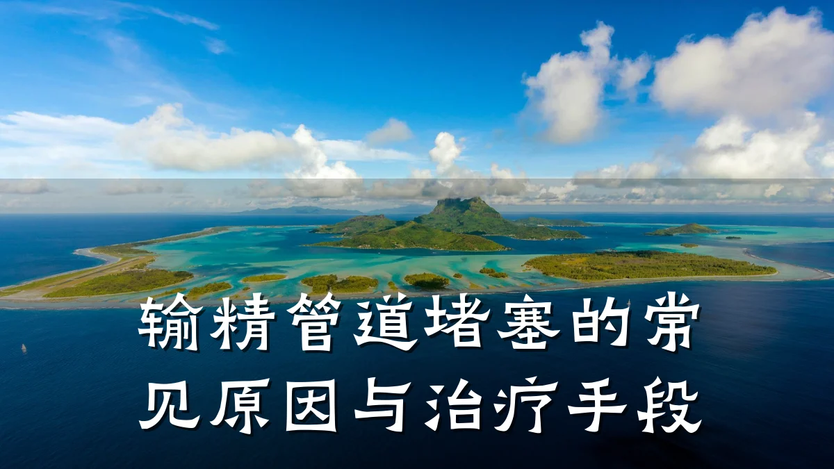 输精管道堵塞的常见原因与治疗手段