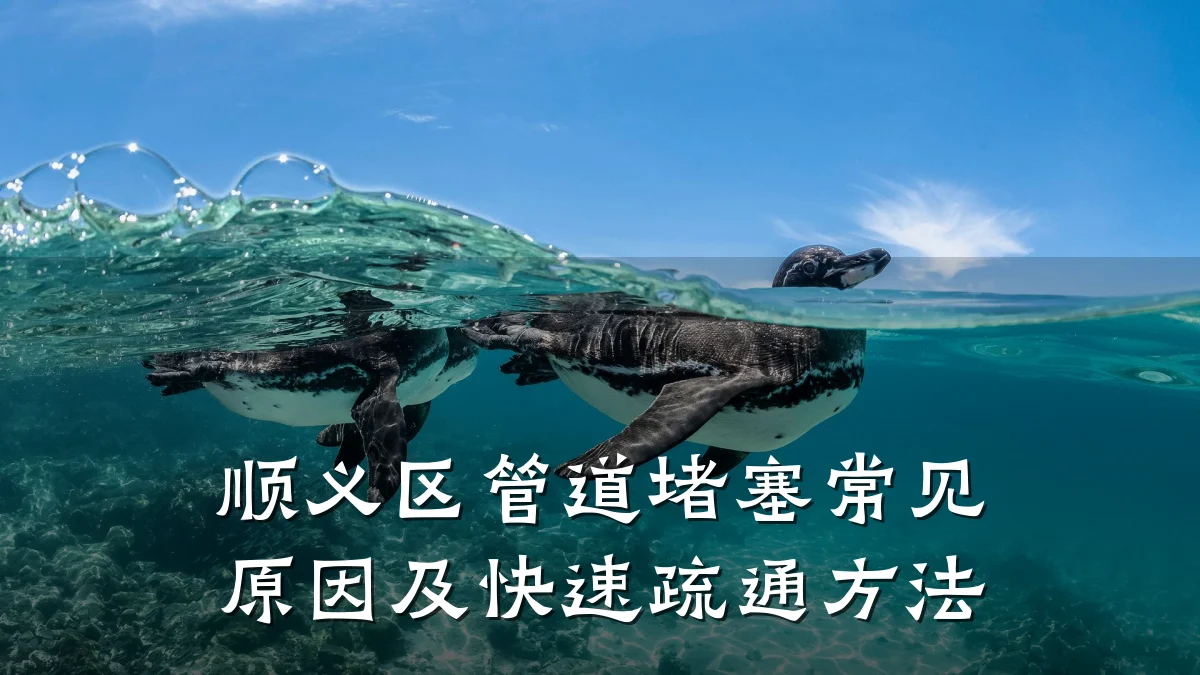 顺义区管道堵塞常见原因及快速疏通方法