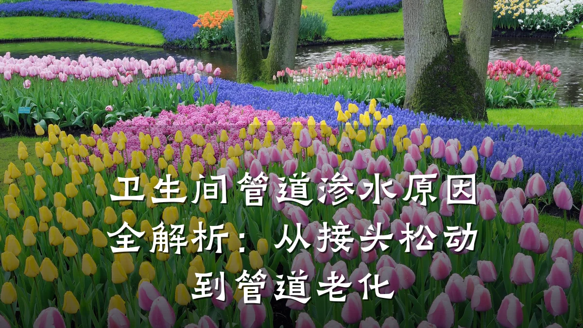卫生间管道渗水原因全解析:从接头松动到管道老化