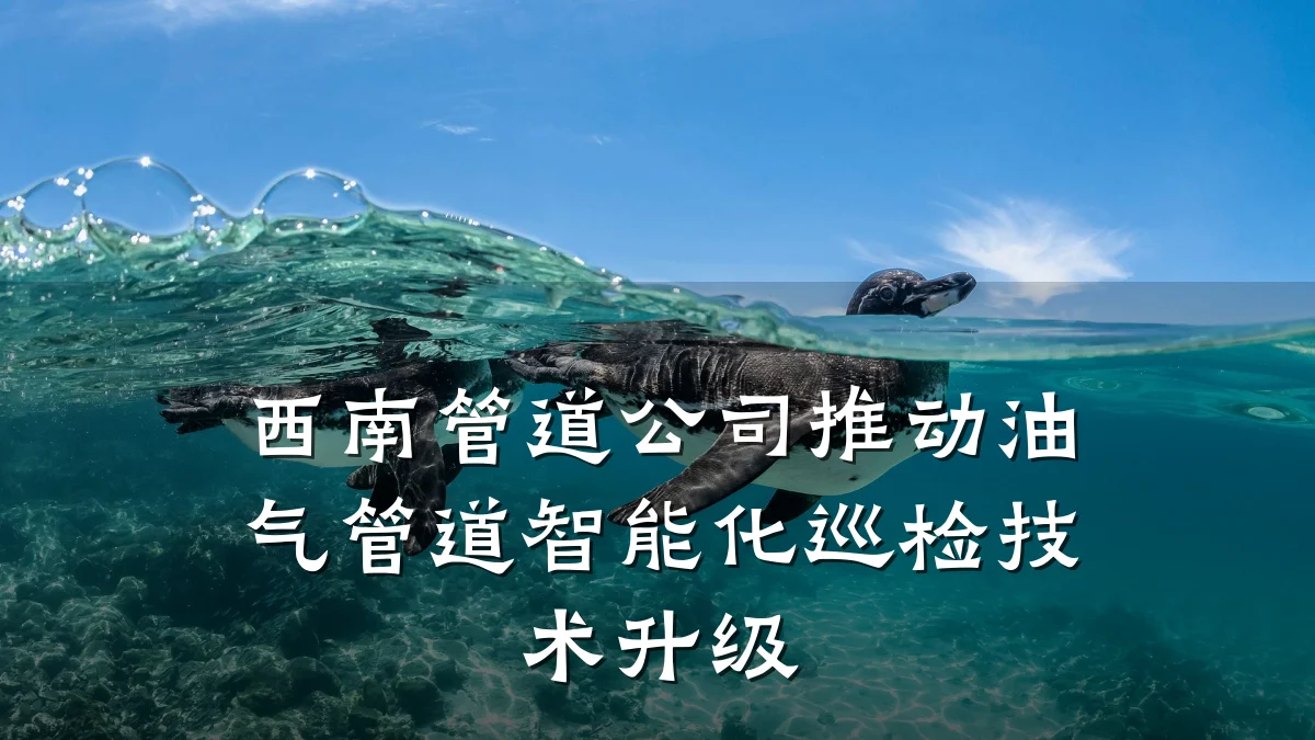西南管道公司推动油气管道智能化巡检技术升级
