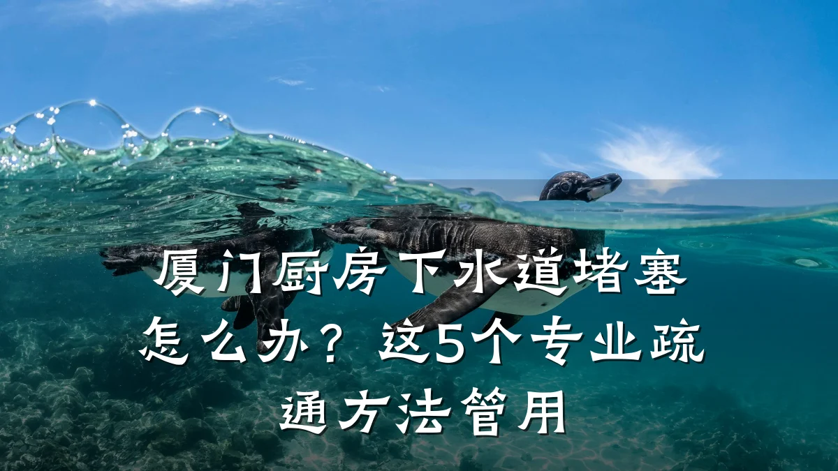 厦门厨房下水道堵塞怎么办?这5个专业疏通方法管用