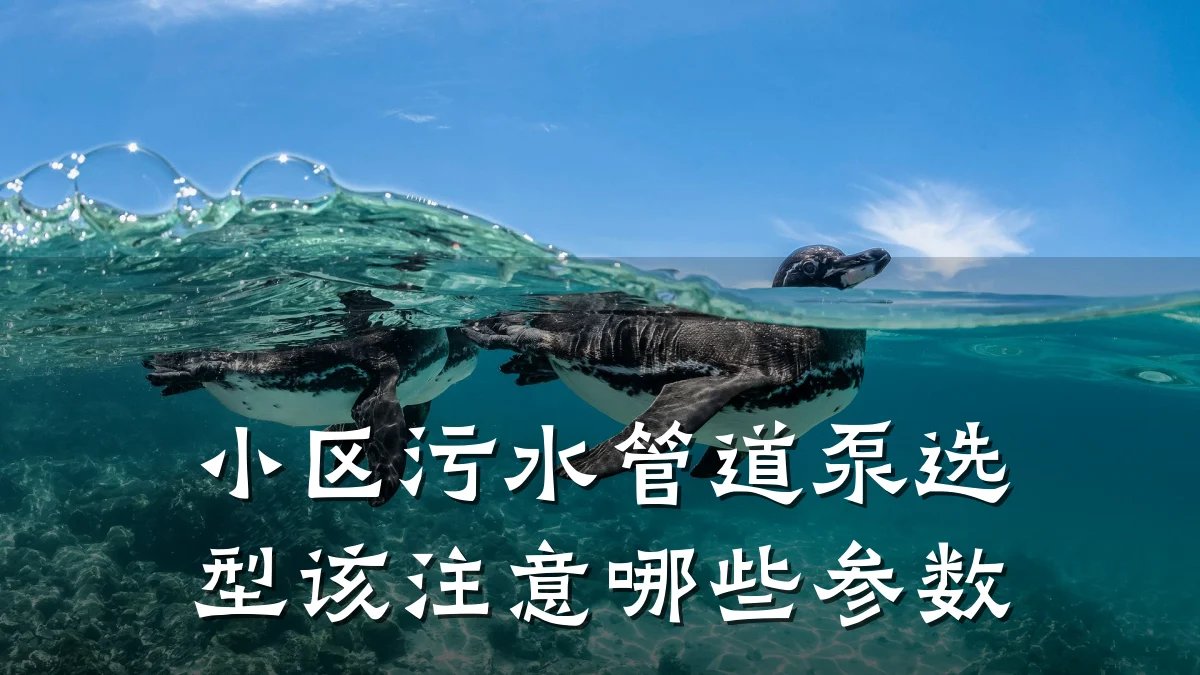 小区污水管道泵选型该注意哪些参数