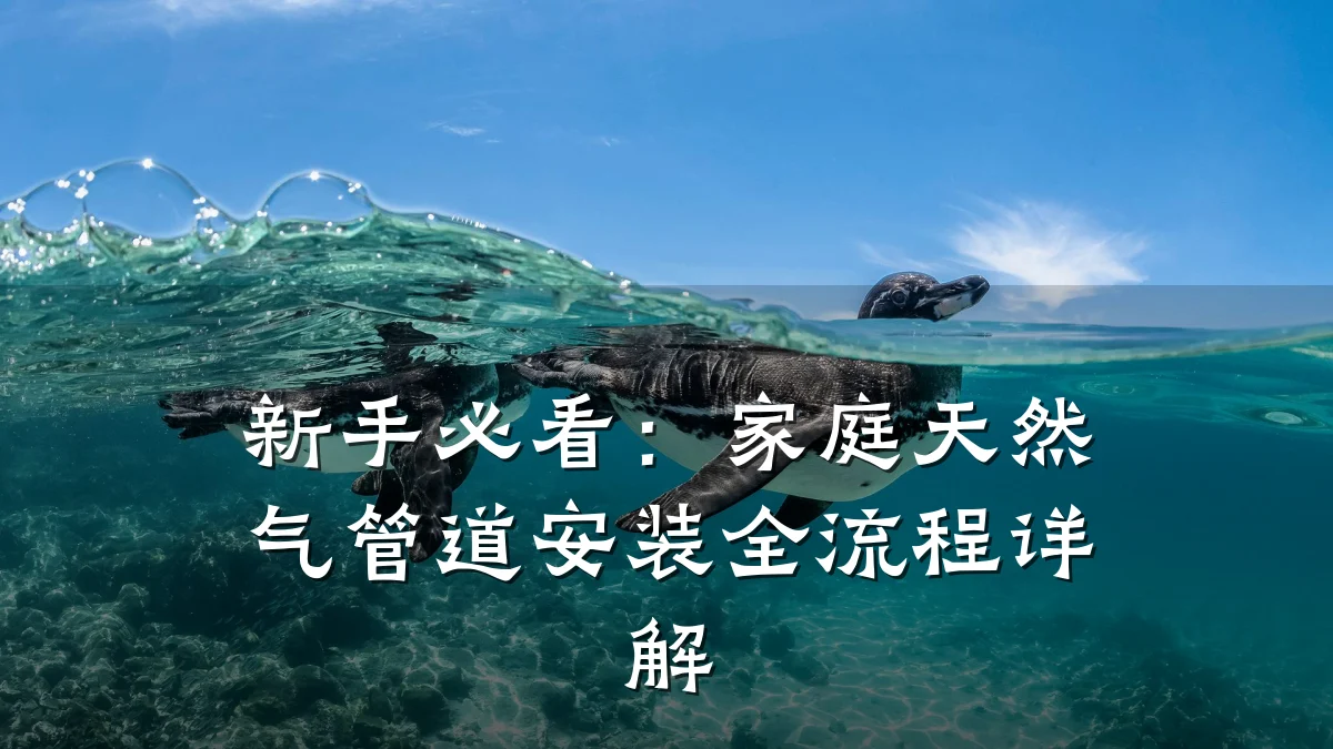 新手必看:家庭天然气管道安装全流程详解
