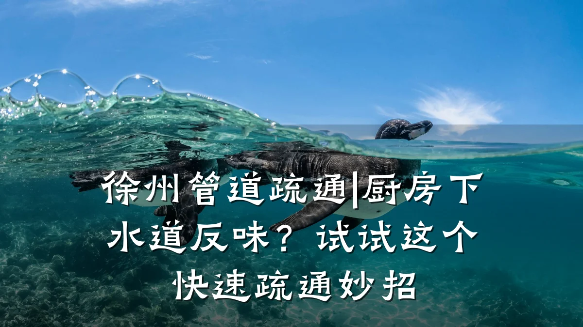 徐州管道疏通|厨房下水道反味?试试这个快速疏通妙招