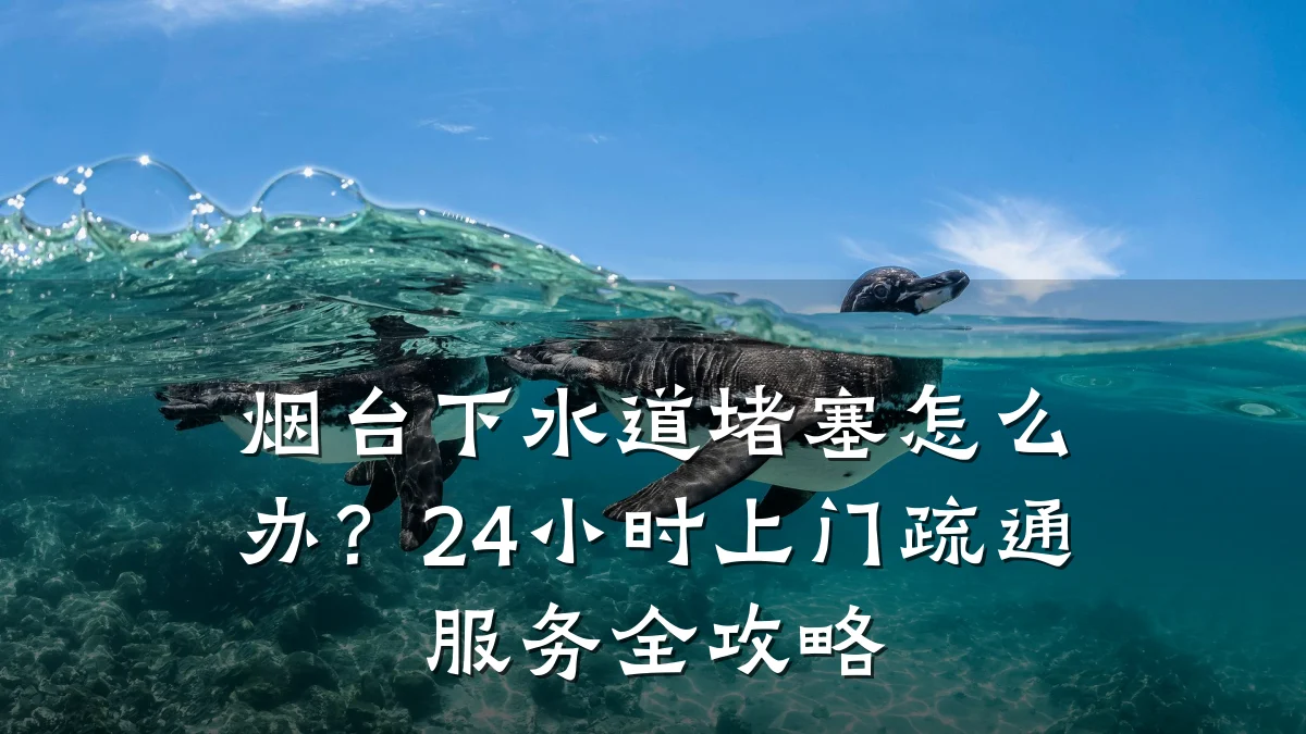 烟台下水道堵塞怎么办?24小时上门疏通服务全攻略