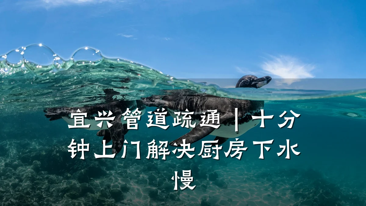 宜兴管道疏通|十分钟上门解决厨房下水慢