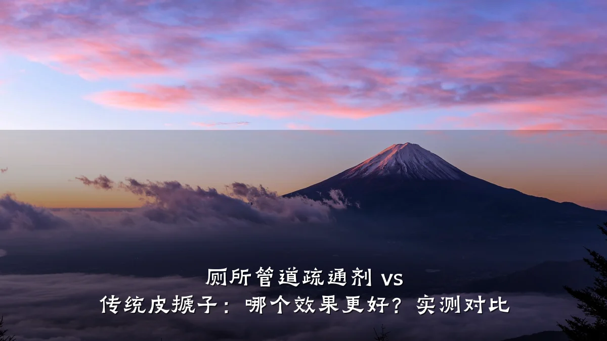 厕所管道疏通剂 vs 传统皮搋子:哪个效果更好?实测对比