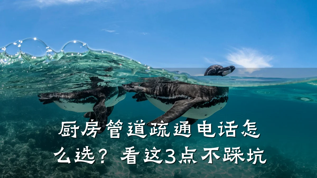 厨房管道疏通电话怎么选?看这3点不踩坑