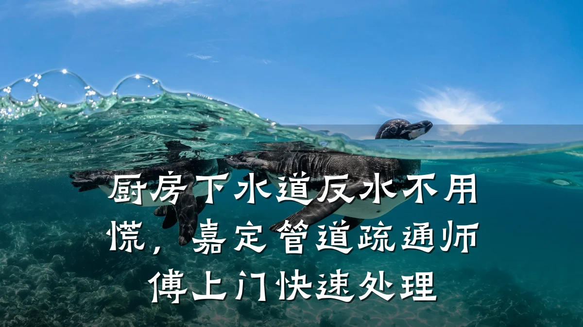 厨房下水道反水不用慌,嘉定管道疏通师傅上门快速处理