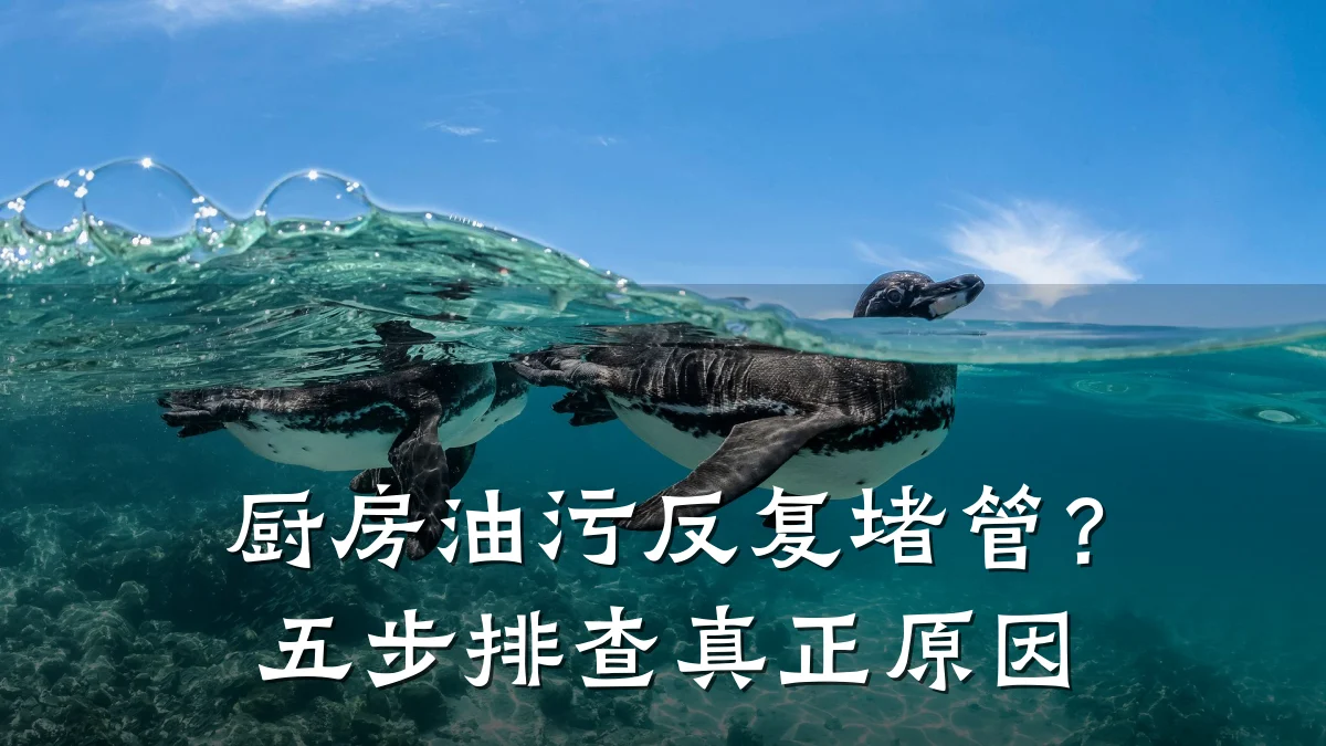 厨房油污反复堵管？五步排查真正原因