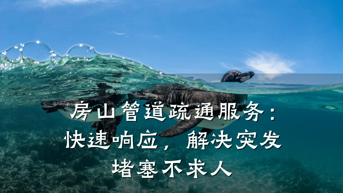 房山管道疏通服务：快速响应，解决突发堵塞不求人