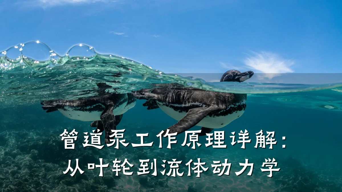 管道泵工作原理详解:从叶轮到流体动力学
