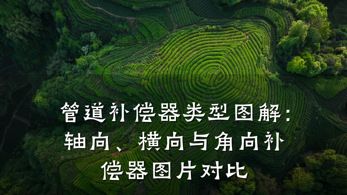 管道补偿器类型图解:轴向、横向与角向补偿器图片对比