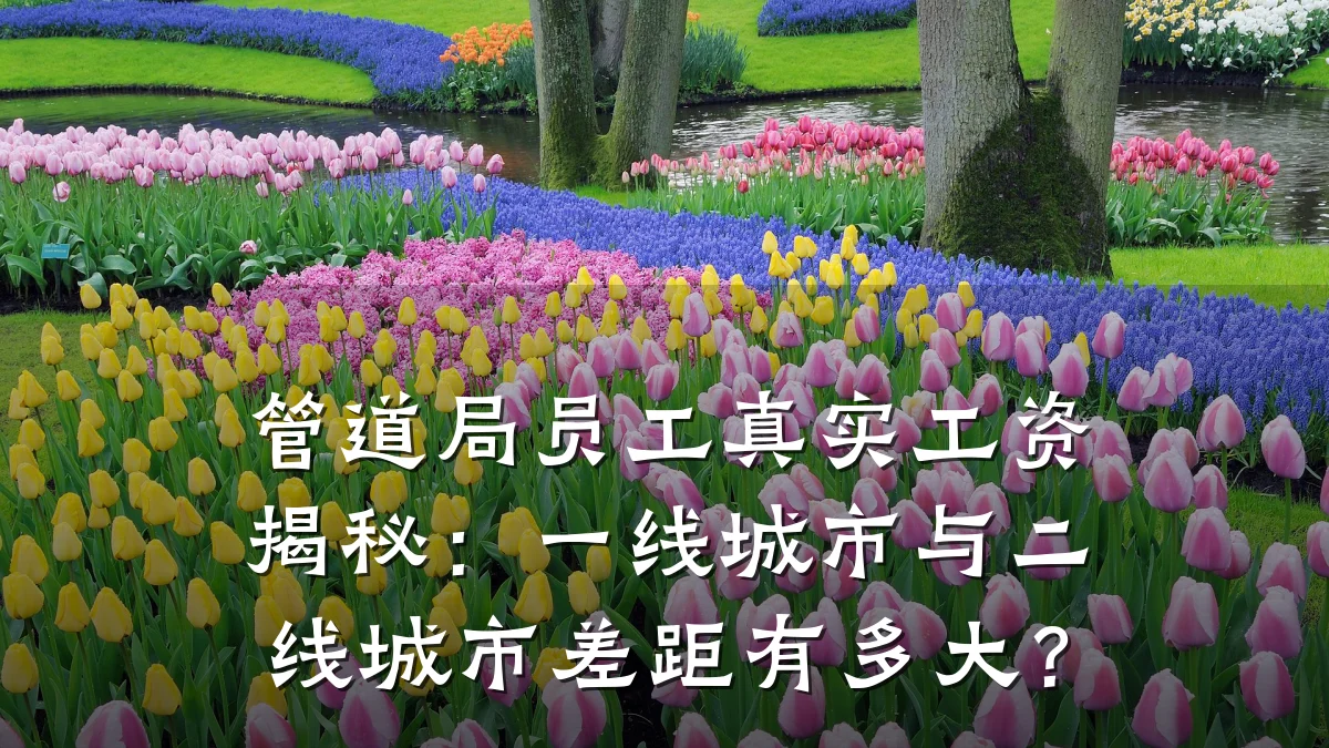 管道局员工真实工资揭秘:一线城市与二线城市差距有多大?