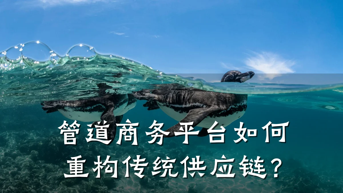 管道商务平台如何重构传统供应链？