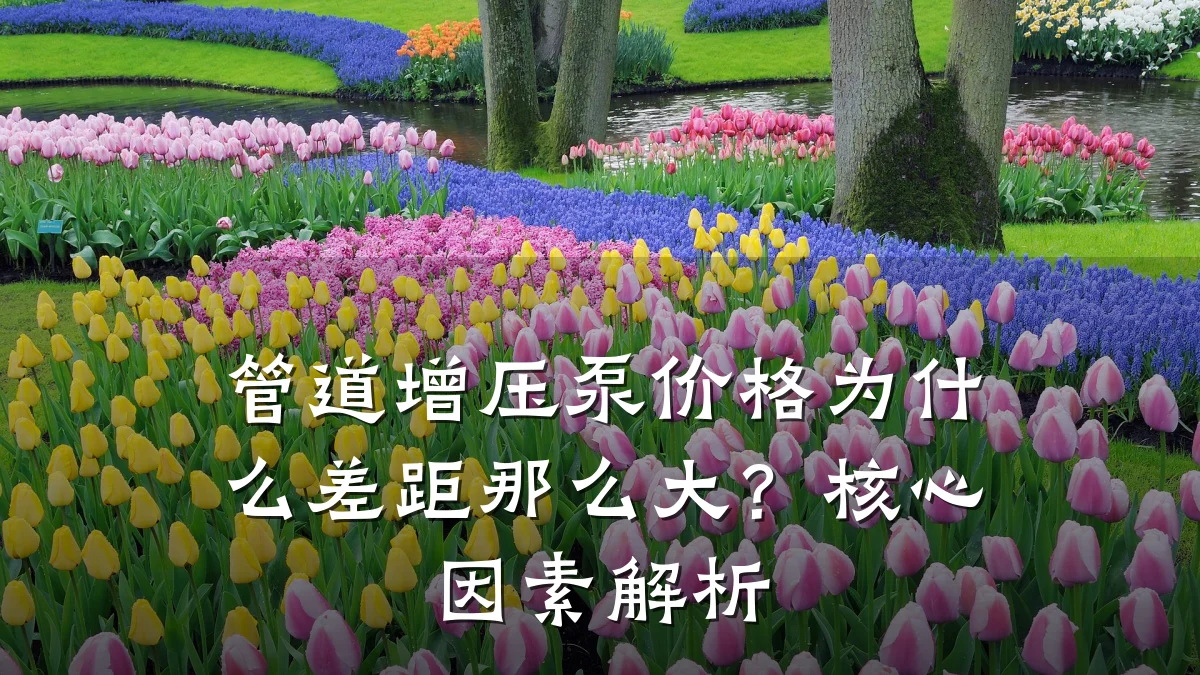 管道增压泵价格为什么差距那么大?核心因素解析