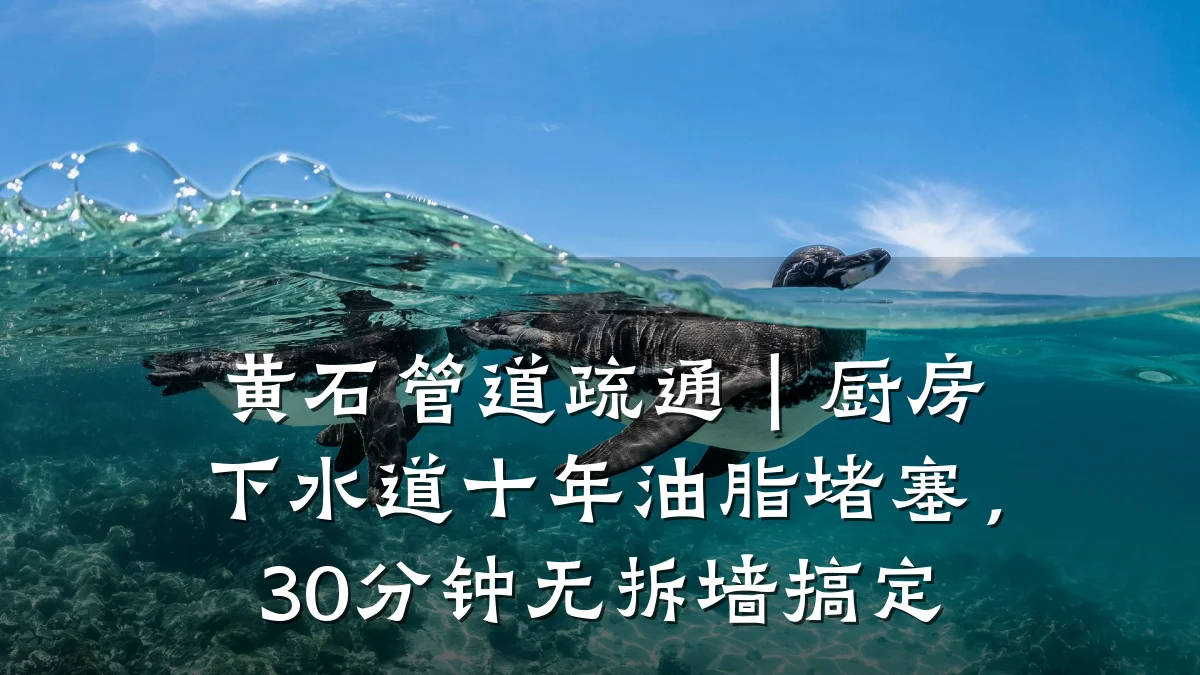 黄石管道疏通|厨房下水道十年油脂堵塞,30分钟无拆墙搞定