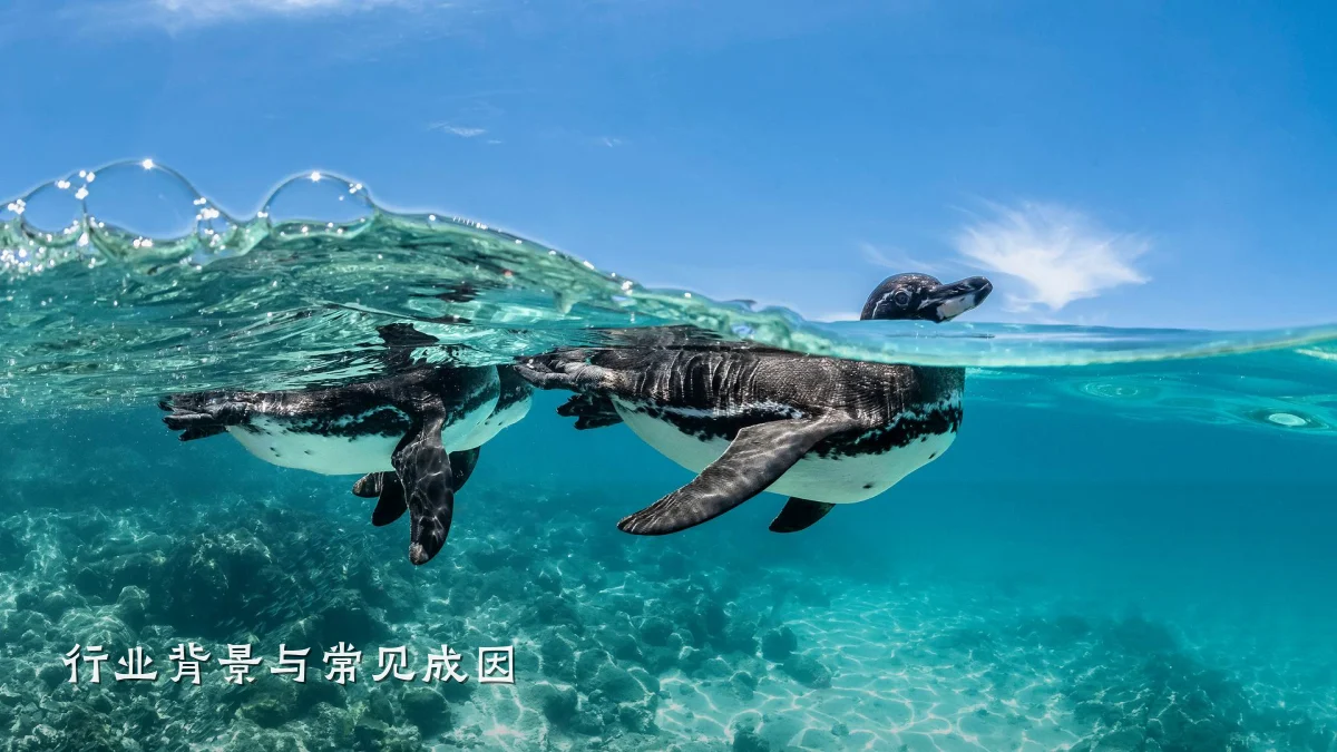 行业背景与常见成因