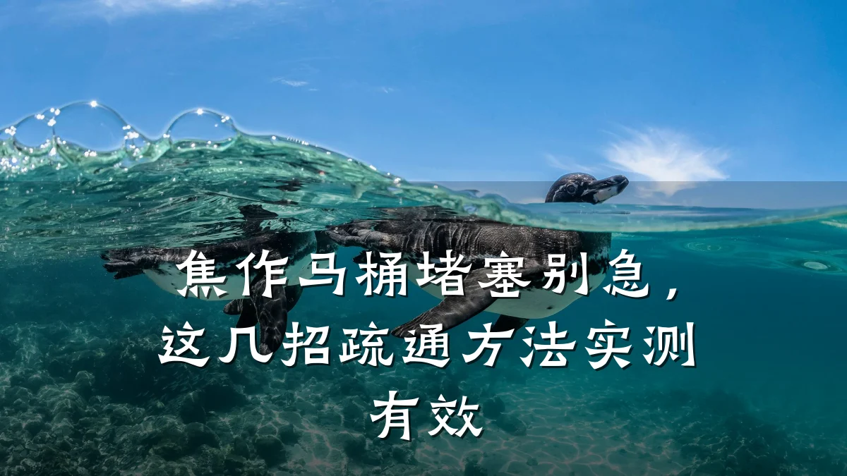 焦作马桶堵塞别急,这几招疏通方法实测有效