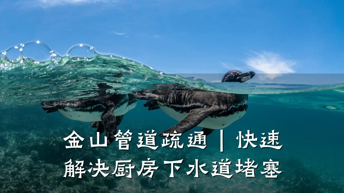 金山管道疏通|快速解决厨房下水道堵塞