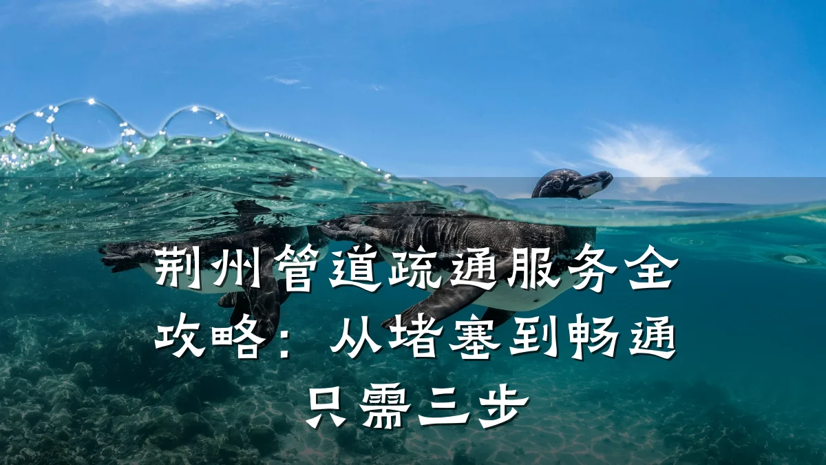荆州管道疏通服务全攻略:从堵塞到畅通只需三步