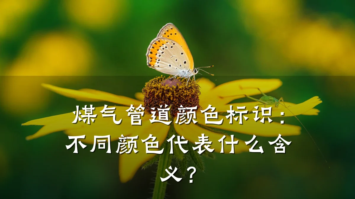 煤气管道颜色标识:不同颜色代表什么含义?
