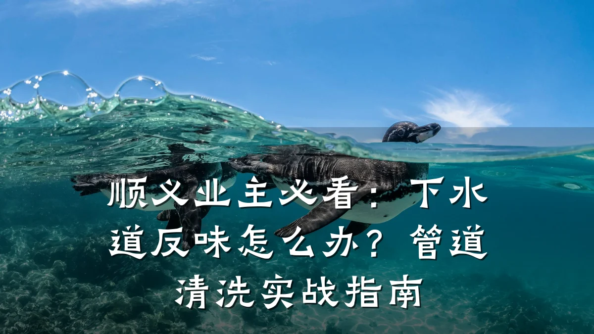 顺义业主必看:下水道反味怎么办?管道清洗实战指南