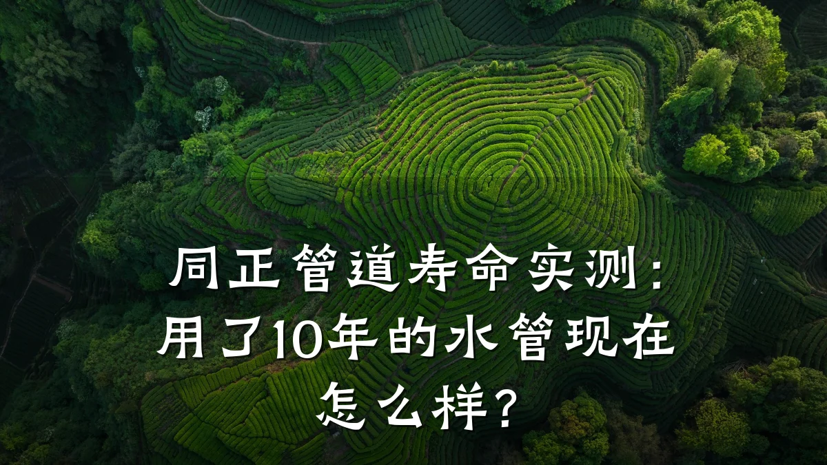 同正管道寿命实测:用了10年的水管现在怎么样?