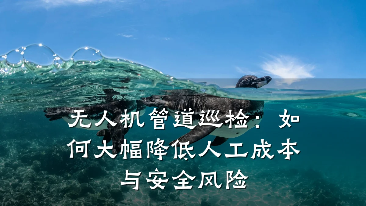 无人机管道巡检:如何大幅降低人工成本与安全风险