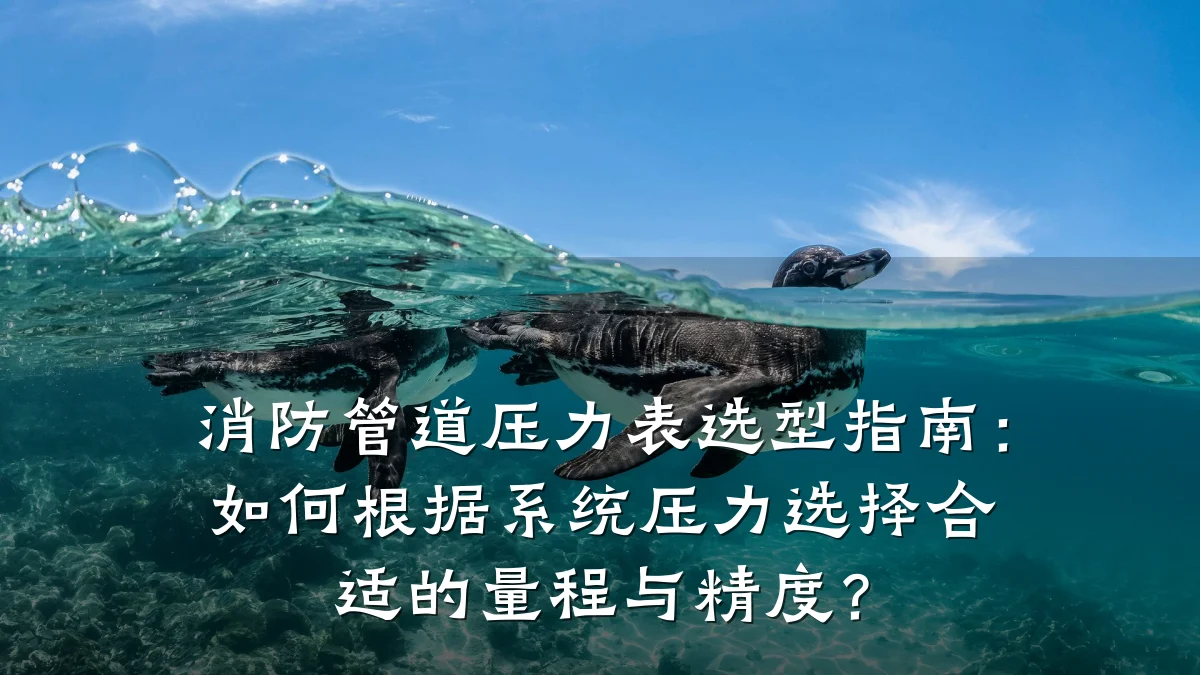 消防管道压力表选型指南:如何根据系统压力选择合适的量程与精度?