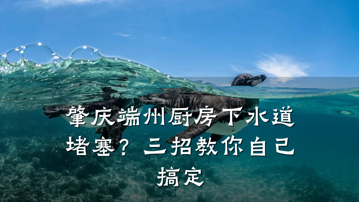 肇庆端州厨房下水道堵塞?三招教你自己搞定