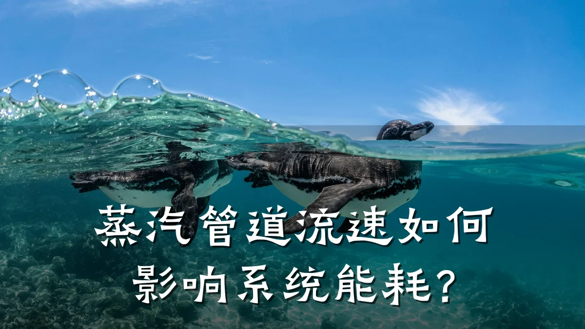 蒸汽管道流速如何影响系统能耗?