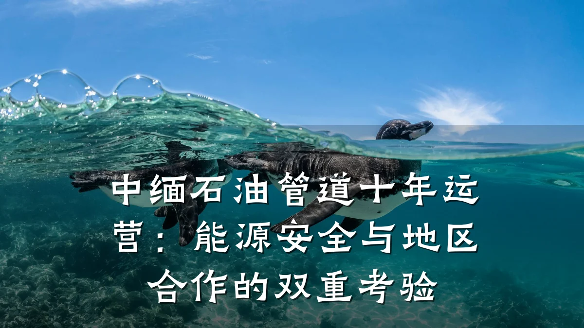 中缅石油管道十年运营:能源安全与地区合作的双重考验