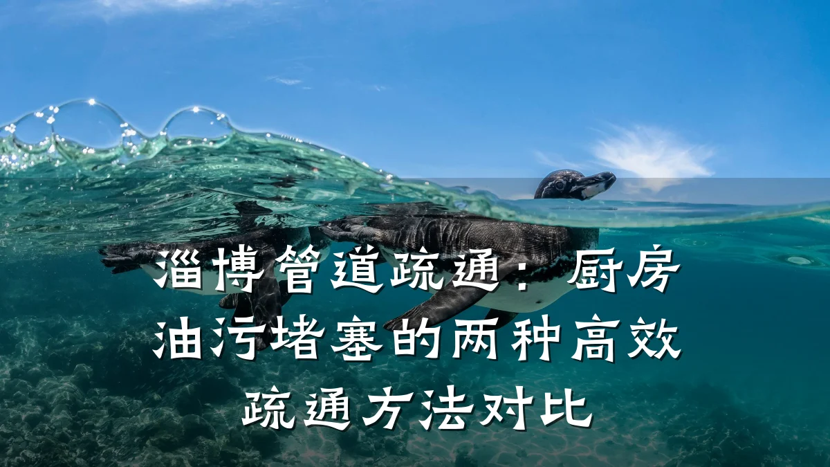 淄博管道疏通:厨房油污堵塞的两种高效疏通方法对比
