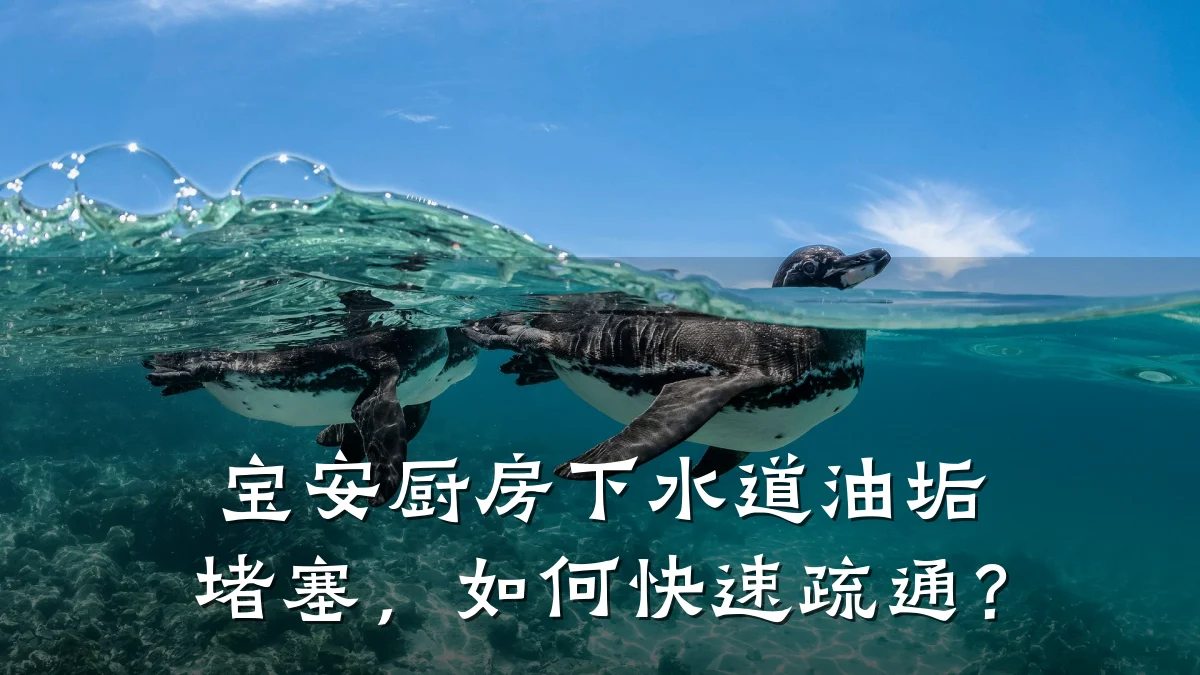 宝安厨房下水道油垢堵塞,如何快速疏通?
