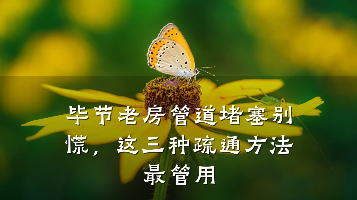 毕节老房管道堵塞别慌,这三种疏通方法最管用
