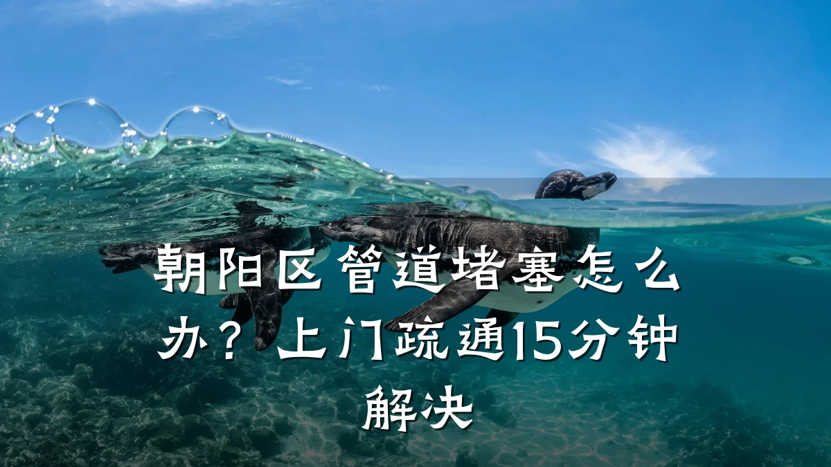 朝阳区管道堵塞怎么办?上门疏通15分钟解决