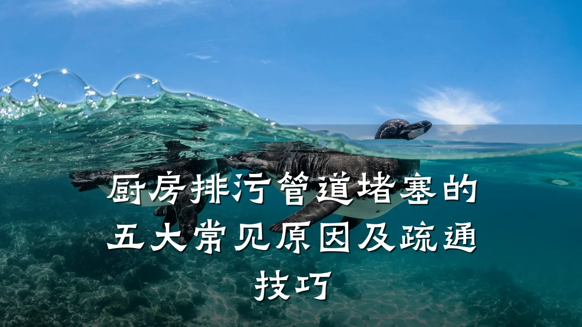 厨房排污管道堵塞的五大常见原因及疏通技巧