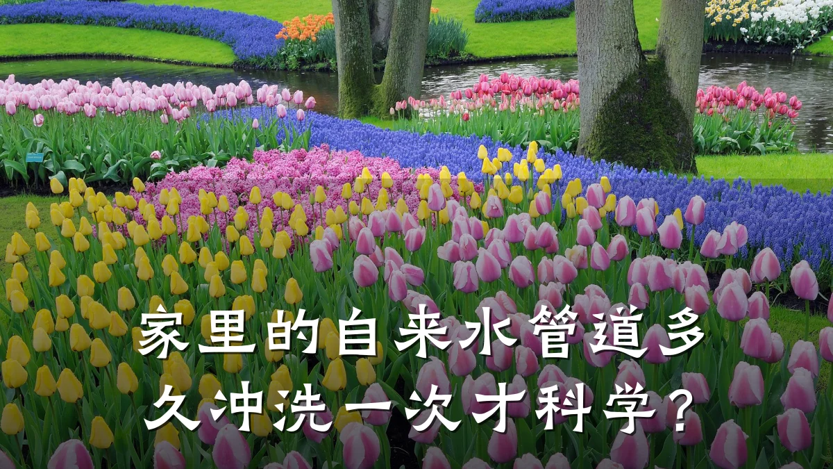 家里的自来水管道多久冲洗一次才科学?